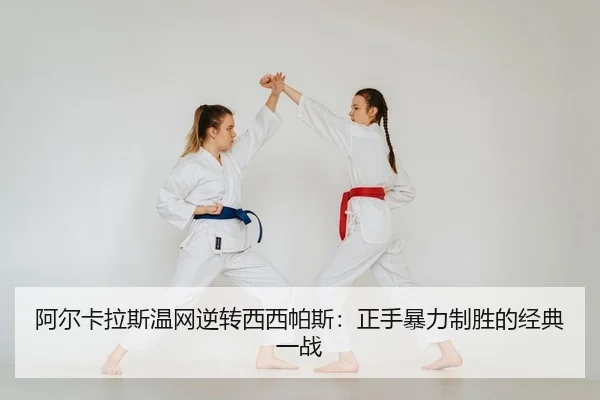 a-er-ka-la-si-wen-wang-ni-zhuan-xi-xi-pa-si-zheng-shou-bao-li-zhi-sheng-de-jing-dian-yi-zhan-2-491.jpg